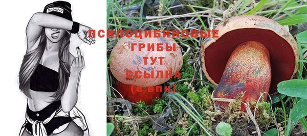 PSILOCYBIN Красноперекопск