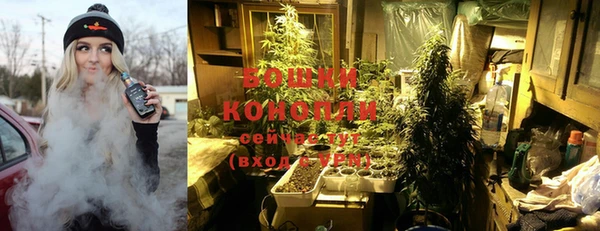 PSILOCYBIN Красноперекопск
